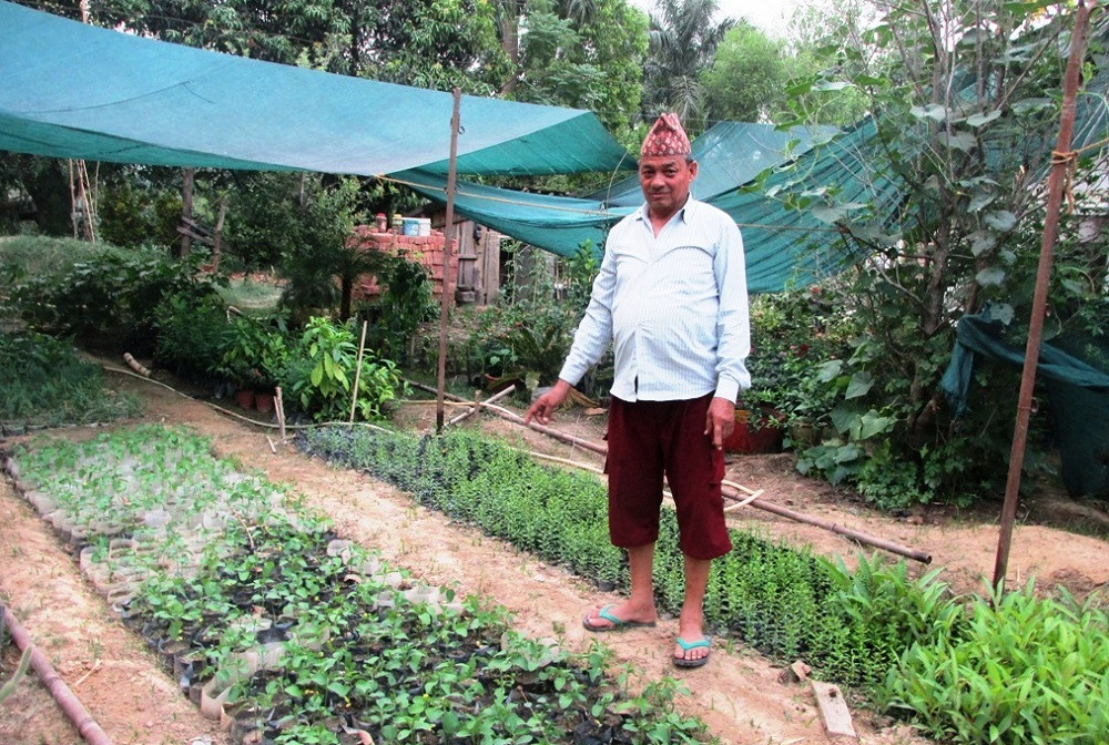 तीन दशकदेखि परिवारै नर्सरी व्यवसायमा, वार्षिक एक करोडको बोटबिरुवा बिक्री