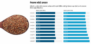 कोदो उत्पादनमा छैन उत्साह : एकातिर रैथाने रटान, अर्कोतिर नासिँदै स्थानीय जात