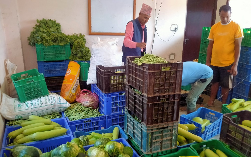 वालिङको कृषि सहकारीद्वारा ६७ लाखको सागसब्जी बिक्री