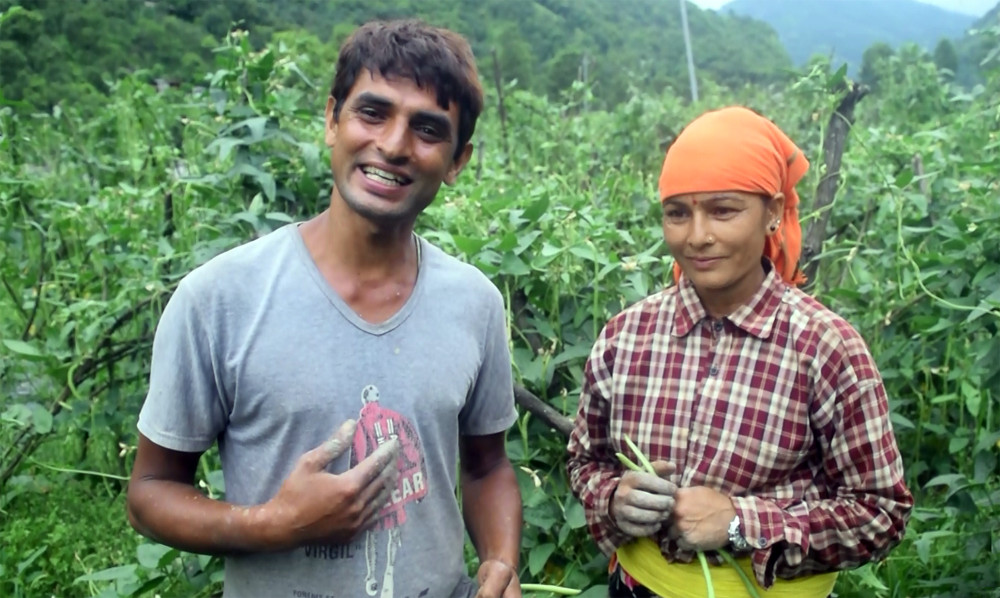 पासपोर्ट थन्क्याएर माटोमा पसिना बगाएका कृषकको सफलताको कथा [भिडियोसहित]