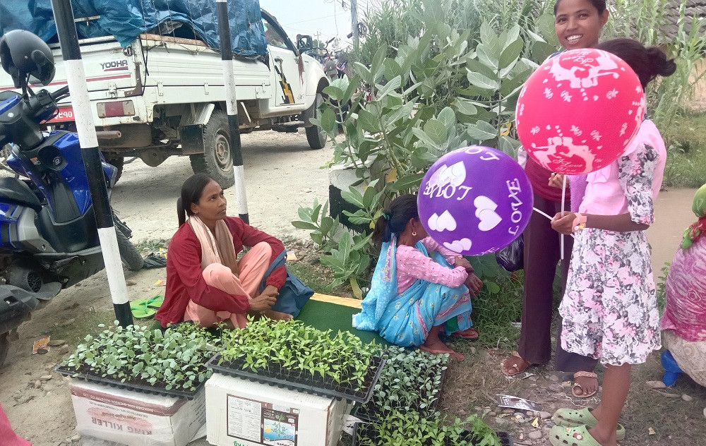 सागसब्जीका बेर्ना बेचेर प्रशस्त आम्दानी