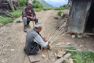 आम्दानीको वैकल्पिक स्रोत थुन्से, संरक्षणको अभावमा लोप हुँदैछ बुन्ने सीप