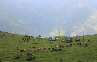 लोभलाग्दो रुइसेको सुन्दरता