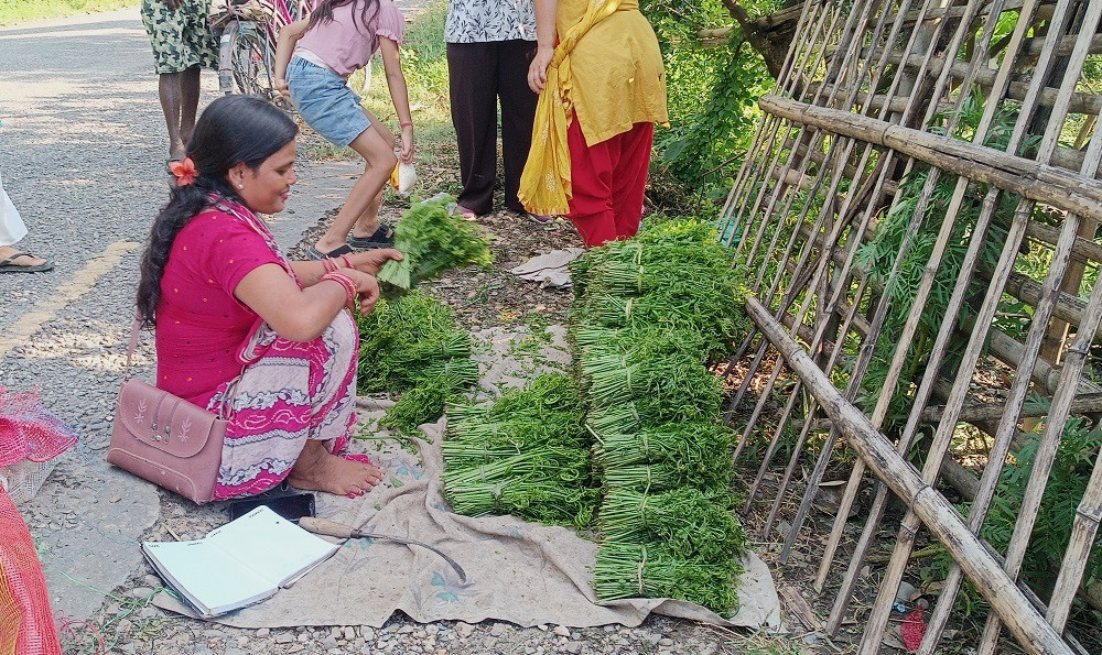 निगुरो व्यापार : लगानीबिना नै लोभलाग्दो आम्दानी