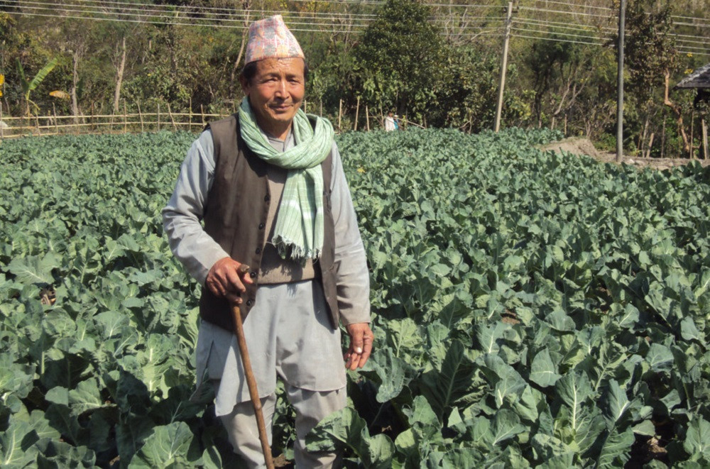 कृषि र पशुपालनबाट वार्षिक १५ लाख कमाउँदै ८० वर्षीय वृद्ध