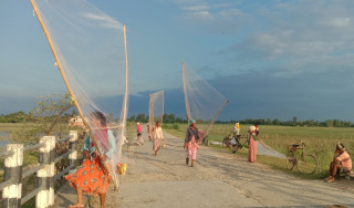 घोँगी र झिँगामाछा बिक्री गरेर दैनिक १५ सय रूपैयाँसम्म आम्दानी