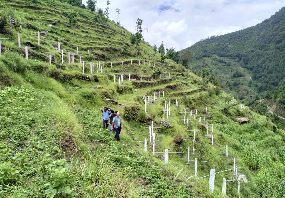 बागलुङमा १ हजार ८ सय ५० रोपनी जग्गामा चक्लाबन्दी, बाँझो जग्गा हराभरा