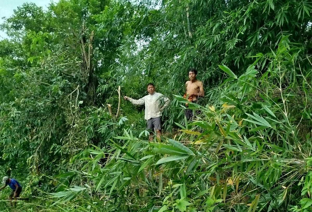 विद्युतीय जोखिम कम गर्न सिक्रेटारमा श्रमदानद्वारा झाडी हटाइँदै