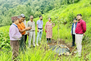 बाँदरबाट हैरान पर्वतका किसान व्यावसायिक ओखरखेतीमा