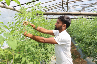 सागसब्जीबाटै दैनिक १० हजार कमाउँछन् २३ वर्षीय मुकुन्द अवस्थी