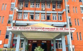 नेपालले कार्बन बिक्रीबाट प्राप्त गर्दैछ एक अर्ब ६० करोड रूपैयाँ