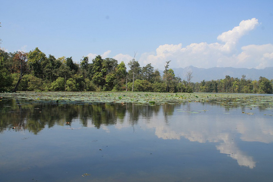 घोडाघोडी तालमा आन्तरिक पर्यटकको चहलपहल बढ्यो