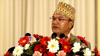 देशलाई काठमा आत्मनिर्भर बनाउन नीतिगत सुधार हुँदैछ : वनमन्त्री शाही