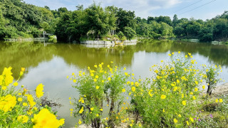 पर्यटक लोभ्याउने सिरहाको ‘गोसाइ डाँडा ताल’