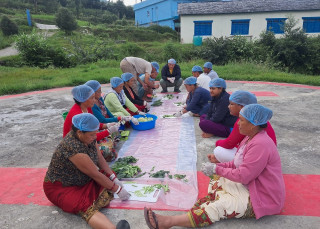 काठेखोलाका सीमान्तकृत समुदायलाई घरबासमार्फत रोजगारसँग जोडिँदै