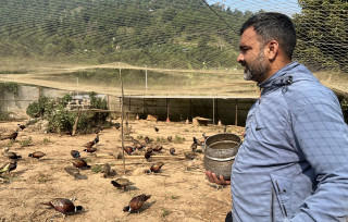 सरकारी जागिरसँगै कालिजपालनमा सलामकोटका चुडामणि, २४ हजारबाट थालिएको व्यवसायमा २५ लाख पुग्यो लगानी