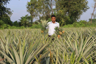 भुइँकटहर खेतीबाट वार्षिक १५ लाख रुपैयाँसम्म आम्दानी गर्दै विष्ट