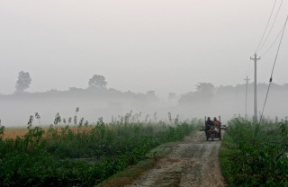 तराईमा शीतलहरले बढ्यो जाडो