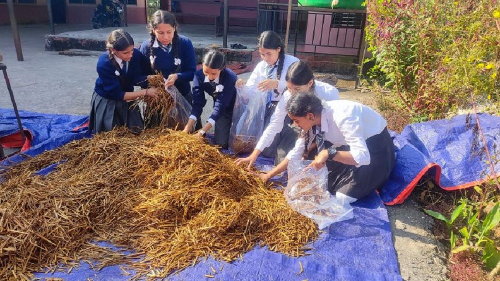 पढ्दै, सीप सिक्दै र कमाउँदै : लमजुङका विद्यार्थीद्वारा व्यावसायिक च्याउखेती