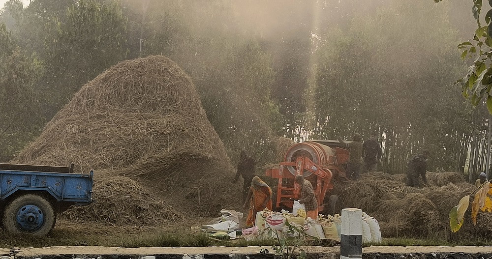 प्रविधिले दाइँ गर्ने परम्परा लोप हुँदै