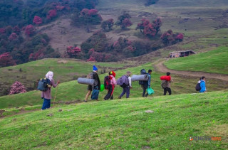 कोशीमा ७८ हजार पर्यटक ल्याउन २ अर्ब २४ करोडका चारवटा पदमार्ग