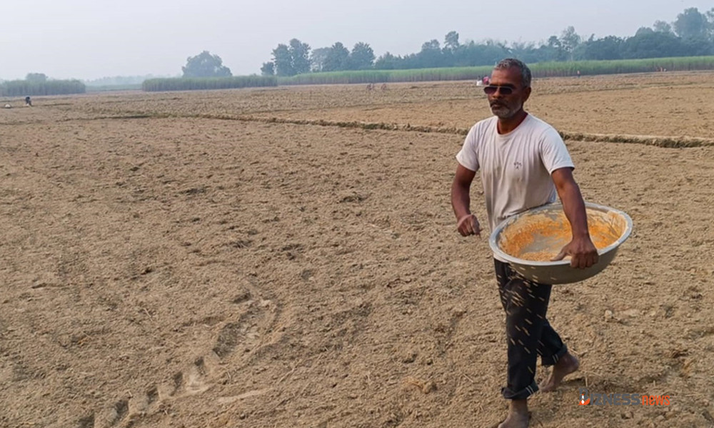 पर्सामा मिटरब्याजी पीडितले फिर्ता पाए करोडौँ मूल्यबराबरको ४६ बिघा जग्गा