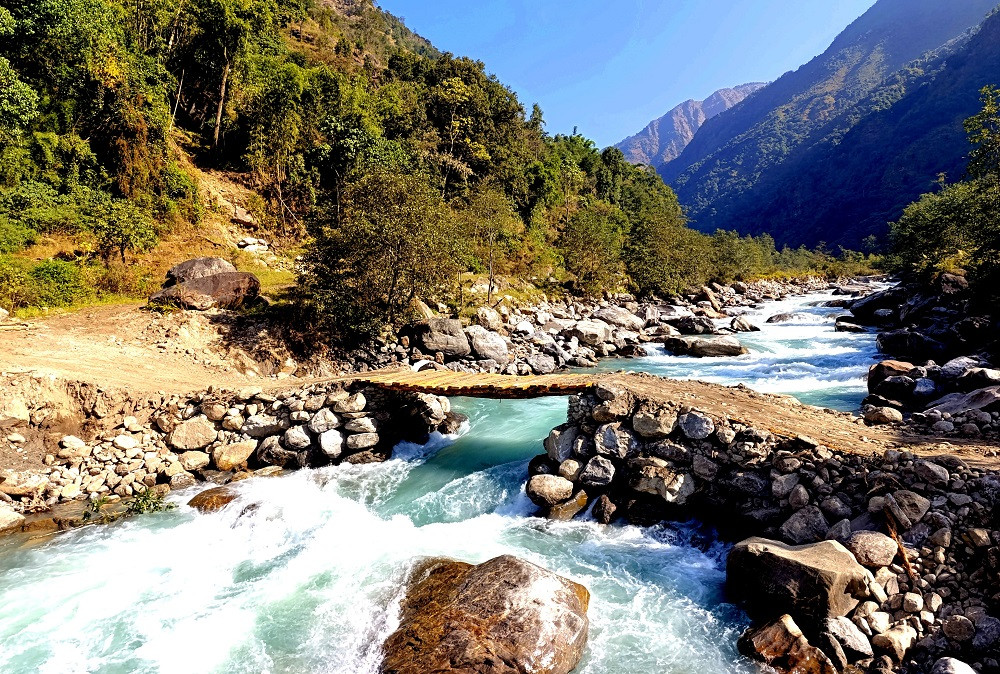 श्रमदान गरेर तमोर नदीमा काठे पुल निर्माण