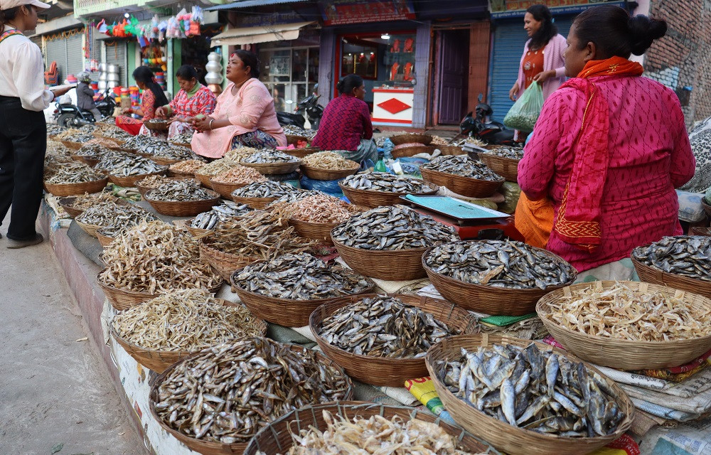 धरानमा फस्टाउँदै सिद्रा व्यापार