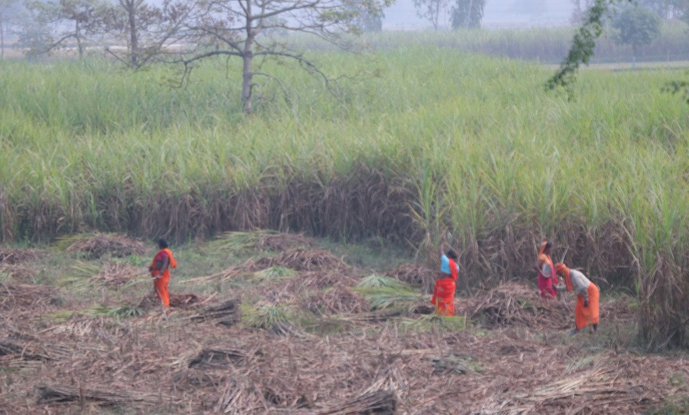 उखुबारीमा आगलागी हुँदा तीन लाखभन्दा बढीको क्षति