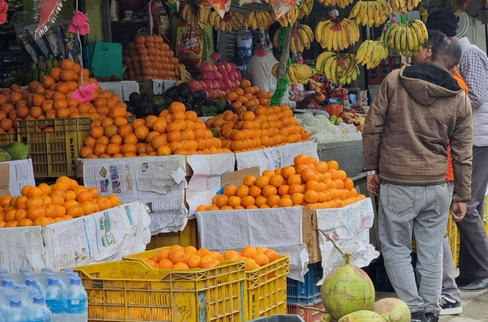 सुन्तला उत्पादन घटेपनि मूल्य वृद्धि हुँदा किसान उत्साहित