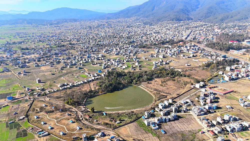 surkhet bulbule (2).jpg