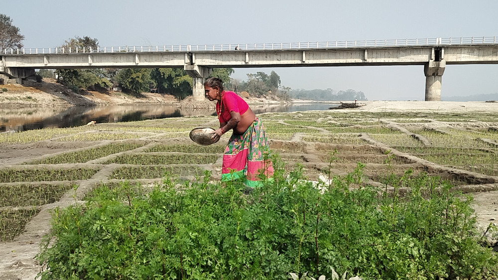 बगरखेतीले फेरिँदै फाँटाका किसानको जीवनस्तर