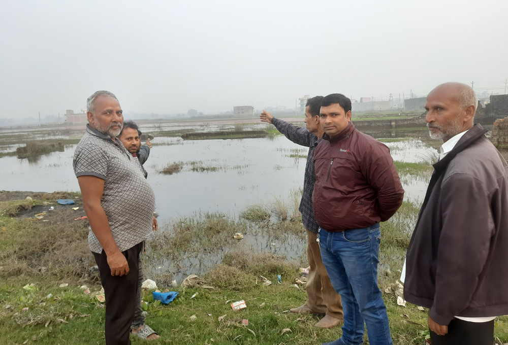 वर्षातको पानीको निकास नहुँदा वीरगञ्जको दुई सय बिगाह खेतीयोग्य जमिन डुबानमा