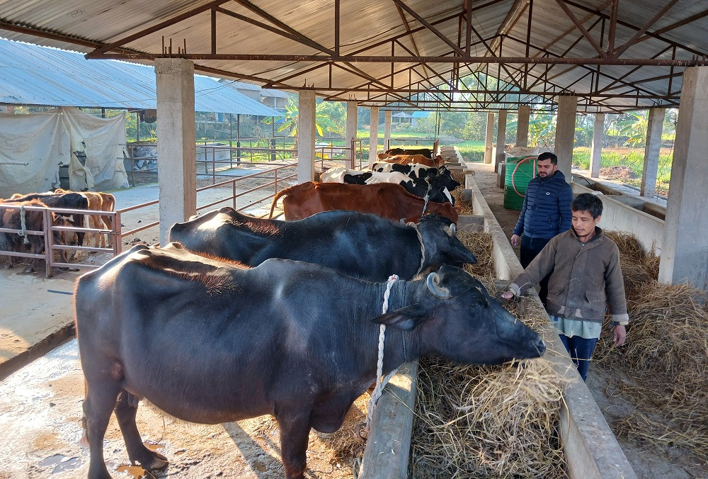 युवालाई व्यवसायमा खुड्किलो चढ्ने माध्यम बन्यो ‘ब्याज अनुदान’