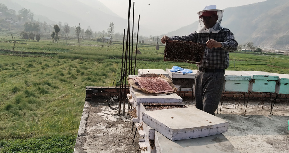 रामेछापमा व्यावसायिक महुरीपालन फस्टाउँदै, प्रधानमन्त्री कृषि आधुनिकीकरण परियोजनाको सहयोग